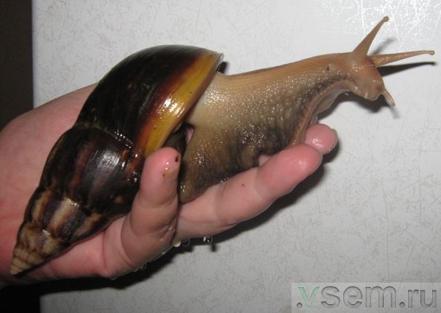 Daily picdump (115 pics)