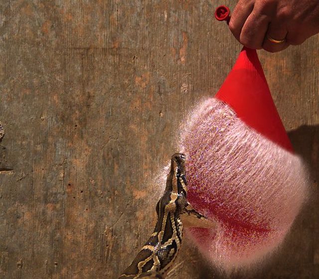 Daily picdump (115 pics)