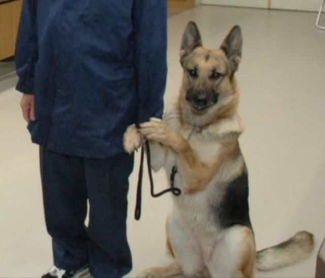 Daily picdump (197 pics)