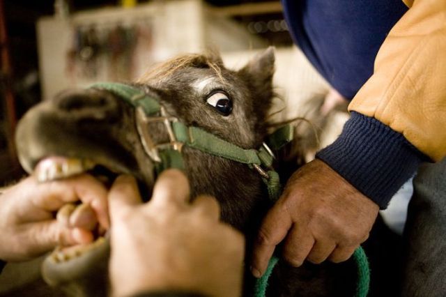 Daily picdump (197 pics)