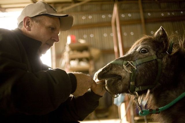 Daily picdump (197 pics)