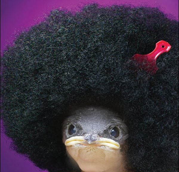 Daily picdump (197 pics)