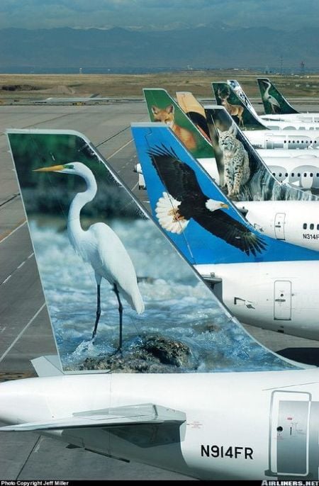 Daily picdump (197 pics)