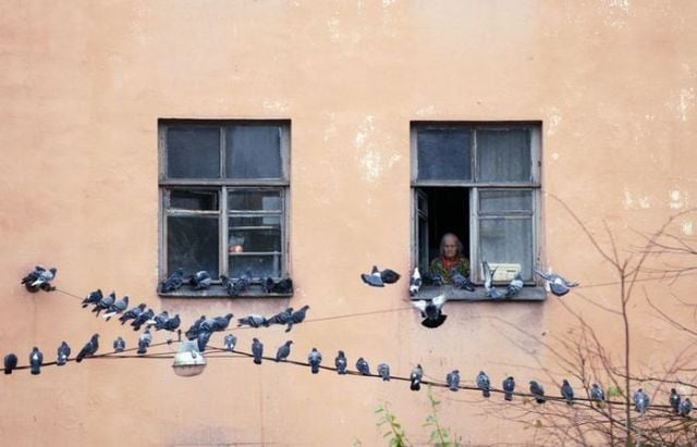 Daily picdump (197 pics)