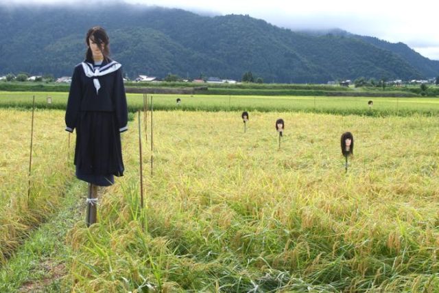 Daily picdump (197 pics)