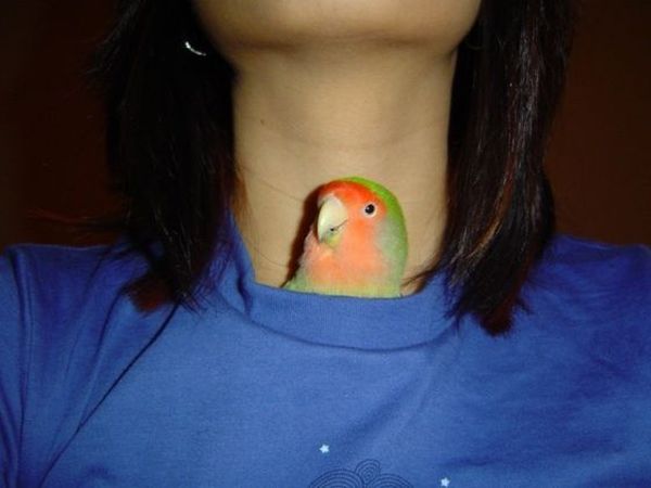 Daily picdump (120 pics)