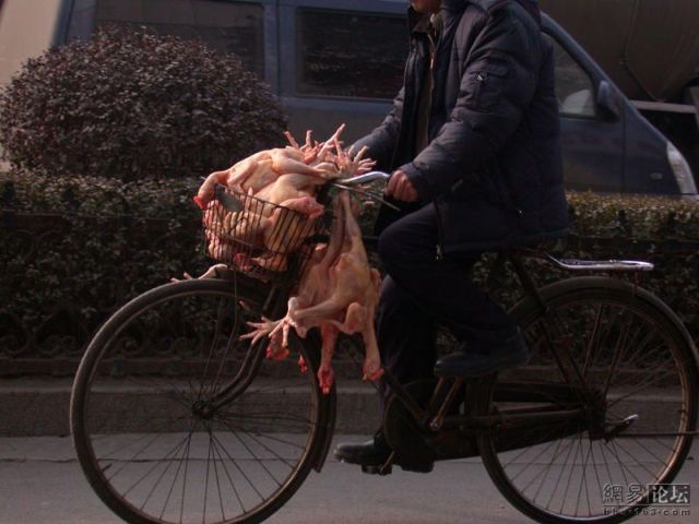 Daily picdump (108 pics)