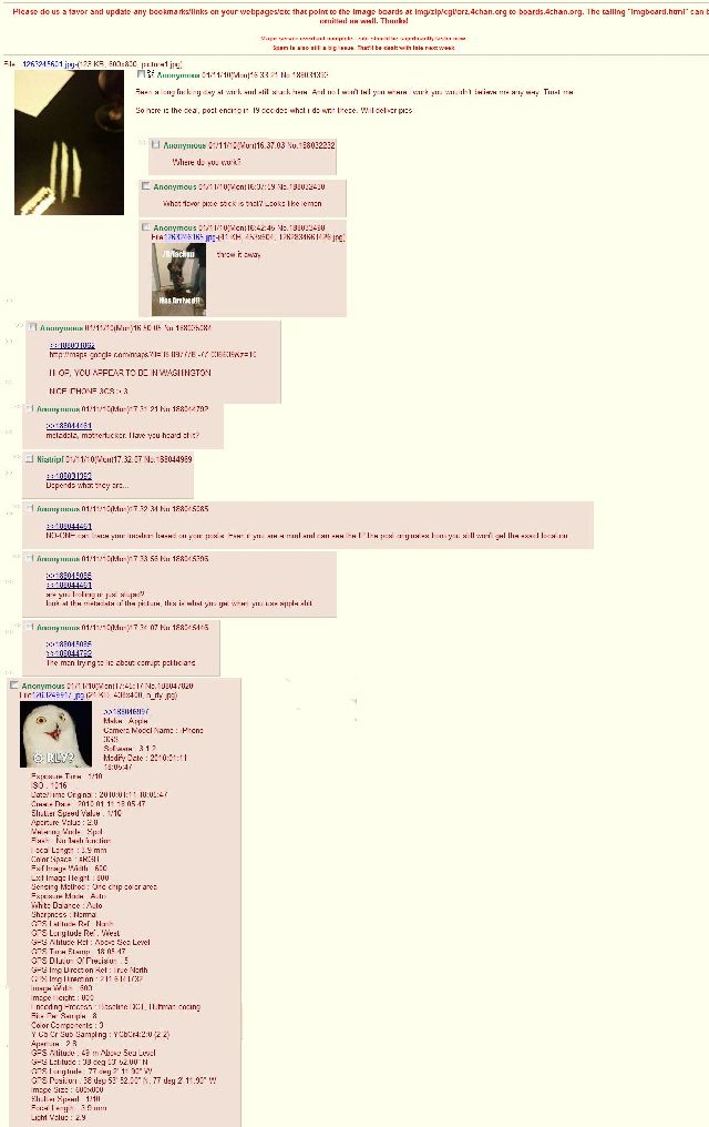 Curiosities and Bonus Pictures