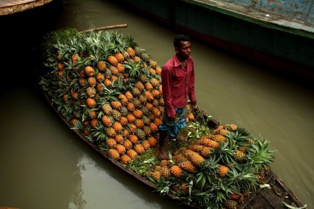 Daily picdump (120 pics)