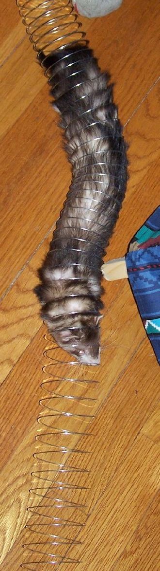 Daily picdump (120 pics)