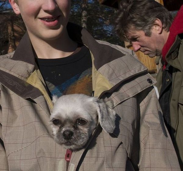 Daily picdump (120 pics)