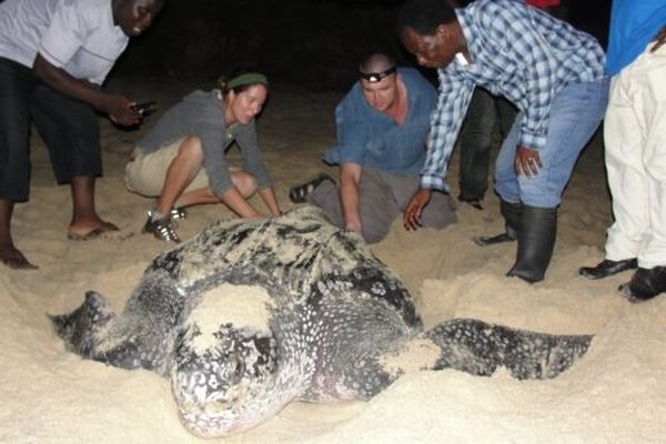 Daily picdump (120 pics)