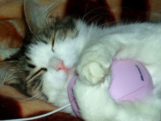 Daily picdump (173 pics)