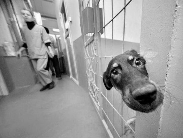 Daily picdump (173 pics)