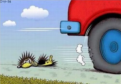 Daily picdump (173 pics)