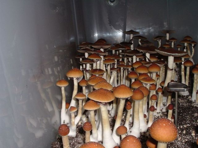 Daily picdump (173 pics)