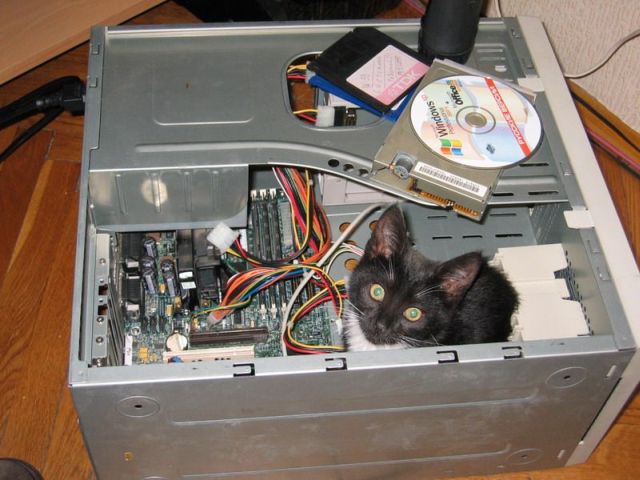 Daily picdump (173 pics)