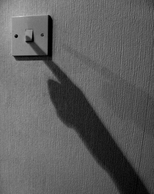 Daily picdump (173 pics)