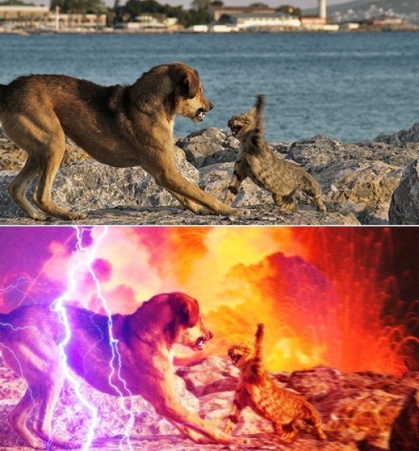 Daily picdump (173 pics)