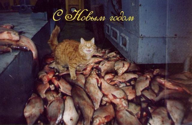 Daily picdump (159 pics)