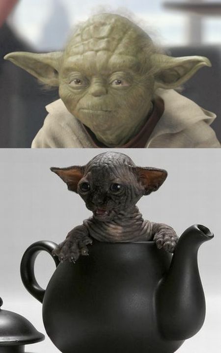 Daily picdump (159 pics)