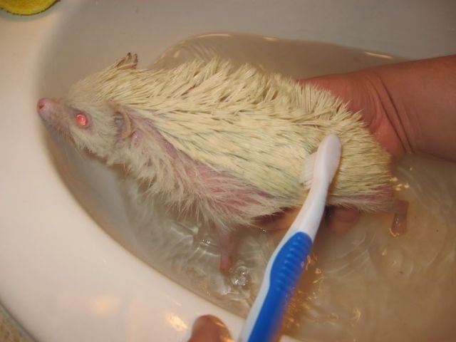 Daily picdump (159 pics)