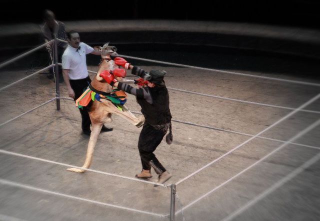 Daily picdump (159 pics)