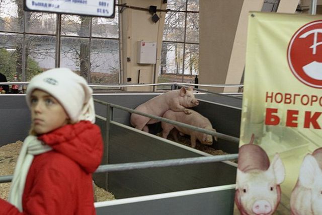 Daily picdump (159 pics)