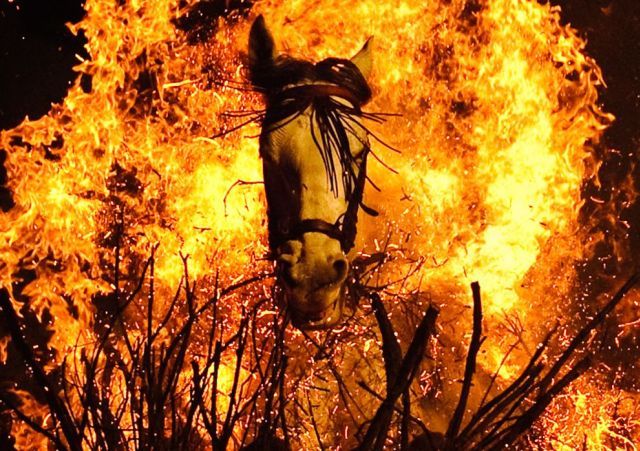 Daily picdump (146 pics)