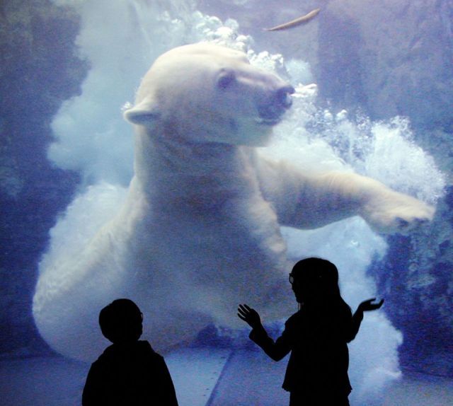 Daily picdump (146 pics)