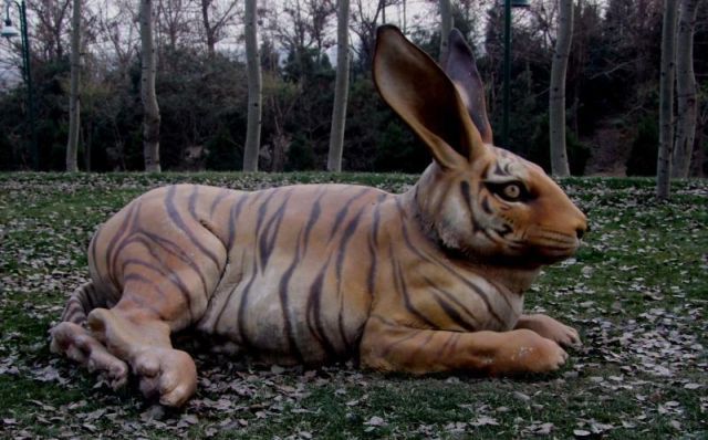 Daily picdump (146 pics)