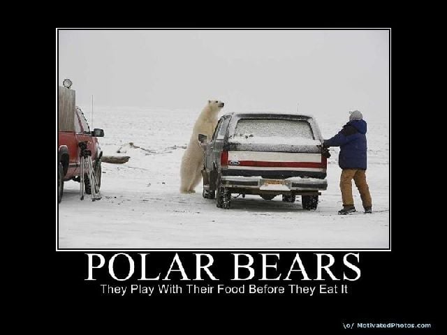 Funny Collection of Demotivational Posters. Part 3 (52 pics)