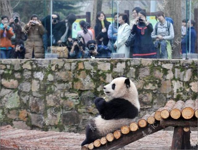 Daily picdump (120 pics)