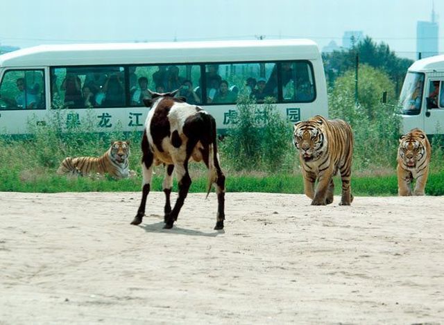 Daily picdump (120 pics)