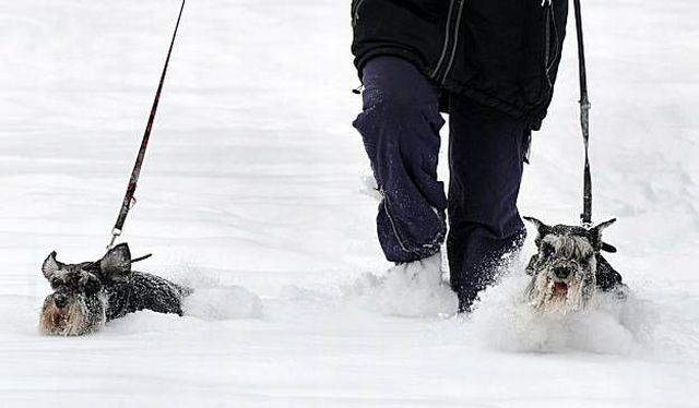 Daily picdump (120 pics)