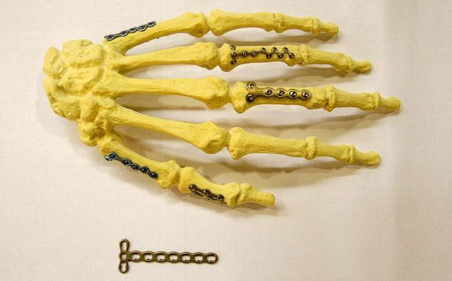 Daily picdump (120 pics)