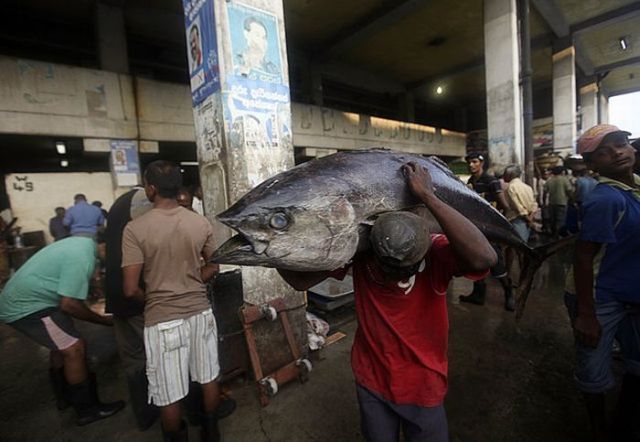 Daily picdump (120 pics)