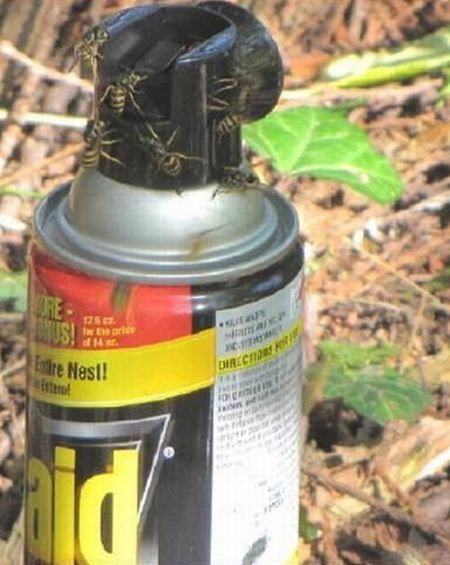 Daily picdump (120 pics)