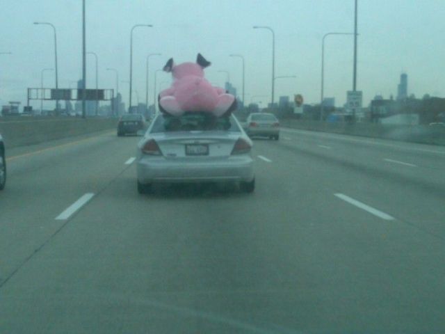 Daily picdump (151 pics)