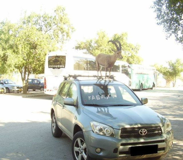 Daily picdump (151 pics)