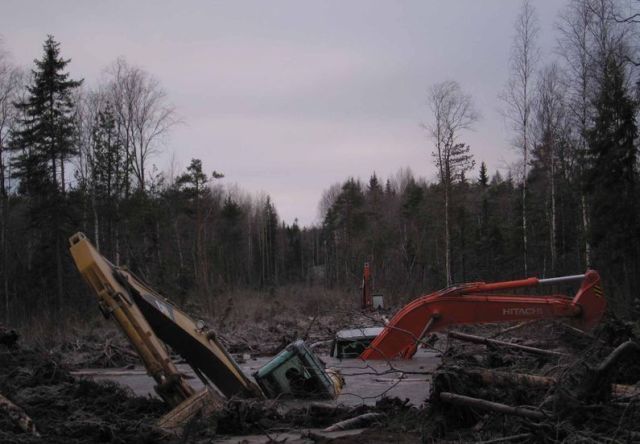 Daily picdump (151 pics)