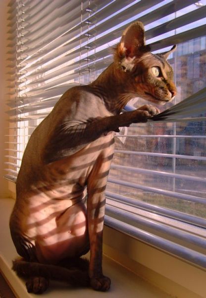 Daily picdump (151 pics)