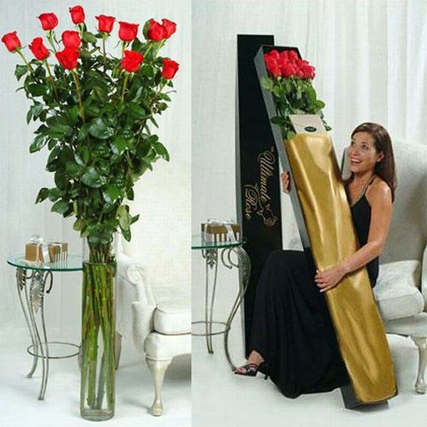 Daily picdump (151 pics)