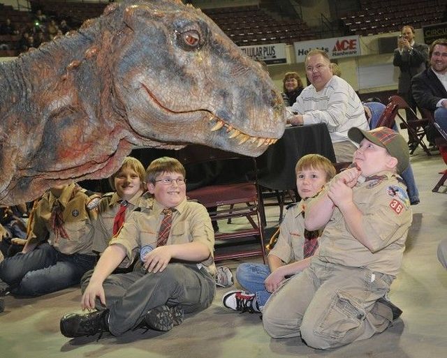 Daily picdump (151 pics)