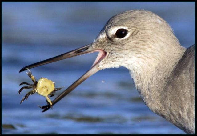 Daily picdump (151 pics)