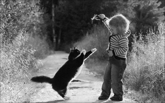 Daily picdump (151 pics)