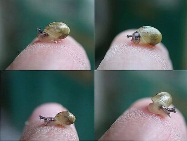 Daily picdump (151 pics)