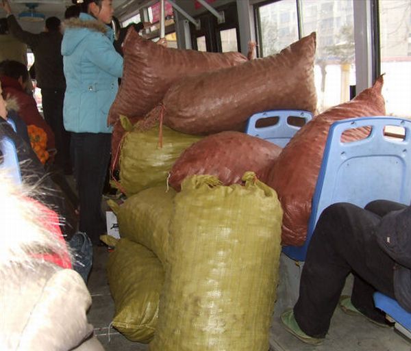 Daily picdump (151 pics)