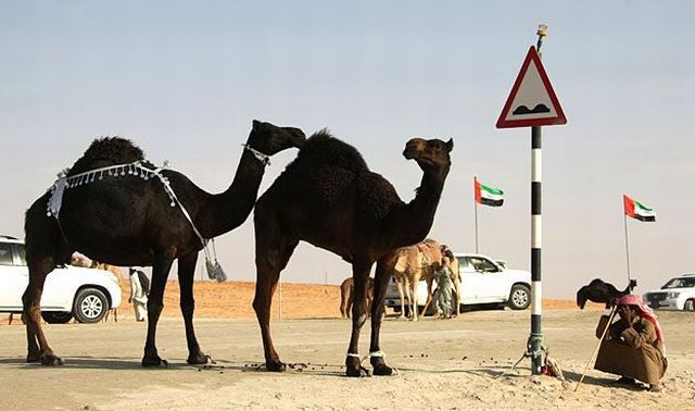 Daily picdump (151 pics)