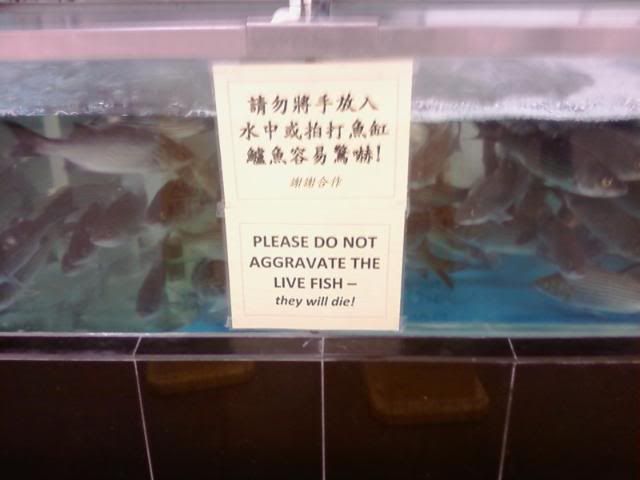 Daily picdump (151 pics)